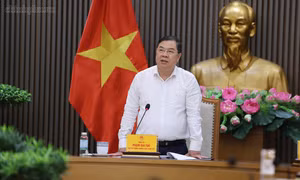 Nghiên cứu, hoàn thiện Đề án 'Sản xuất, lắp ráp và thí điểm đăng ký sử dụng xe ba bánh chạy điện'