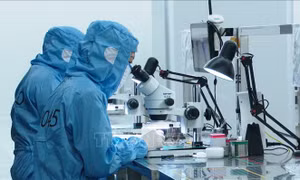 Mở rộng tiếp cận nguồn lực tài chính cho nghiên cứu và đổi mới sáng tạo