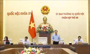 Phiên họp thứ 46 Ủy ban Thường vụ Quốc hội: Nhất trí bổ sung thẩm quyền xử phạt vi phạm hành chính của Viện kiểm sát nhân dân