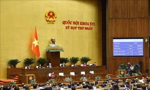 Chương trình giám sát của Quốc hội năm 2027
