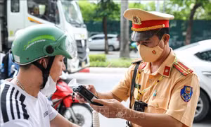 Vi phạm nồng độ cồn chủ yếu ở lứa tuổi trung niên