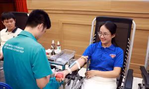 Từ giọt máu nghĩa tình đến sự sống của người bệnh
