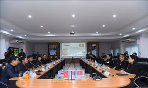 Hợp tác Việt Nam - Thái Lan tiếp thêm nguồn lực bảo tồn sếu đầu đỏ