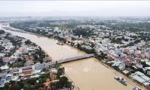 Xử lý vướng mắc về đất quốc phòng tại Dự án đường ven sông Đồng Nai