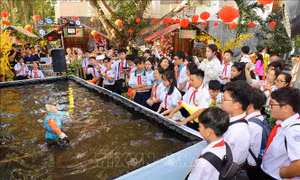 Cần Thơ rộn ràng đón Tết với 'Sắc Xuân miệt vườn' và 'Công viên Sách Xuân' 
