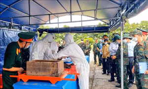 Lấy mẫu và số hóa thông tin hài cốt liệt sĩ chưa xác định được danh tính