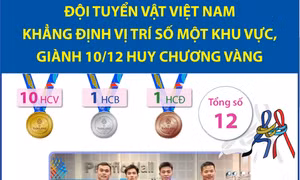 Đội tuyển Vật Việt Nam khẳng định vị trí số một khu vực, giành 10/12 Huy chương Vàng