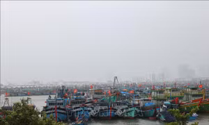 Kiểm đếm, quản lý chặt tàu thuyền ra khơi trong vùng nguy hiểm của bão KALMAEGI