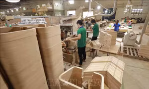 Ra mắt nhãn hiệu chứng nhận 'GỖ VIỆT NAM/VIETNAM WOOD'