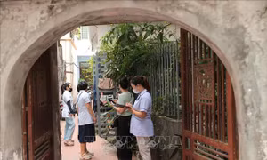 Hà Nội: Chủ động phòng, chống sốt xuất huyết từ cơ sở