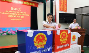 Bầu cử Quốc hội và HĐND: Cử tri làm việc dài ngày trên biển hân hoan đi bỏ phiếu sớm
