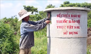 Khuyến cáo nông dân thu gom, xử lý rác thải từ thuốc bảo vệ thực vật