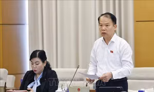 Khắc phục tình trạng lạm dụng yêu cầu cấp Phiếu lý lịch tư pháp