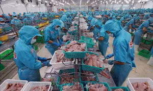 Thủy sản trước sức ép tăng trưởng và cạnh tranh bền vững