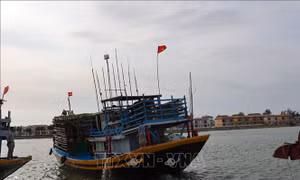 Ngư dân rộn ràng mở biển đầu Xuân