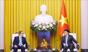 Chủ tịch nước Lương Cường tiếp Bộ trưởng Ngoại giao Cuba