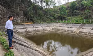 Người dân ở Lục Khu 'vật lộn' với hạn hán
