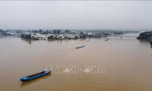 Lũ trên sông Đồng Nai nguy cơ gây ngập vùng trũng, sạt lở bờ sông
