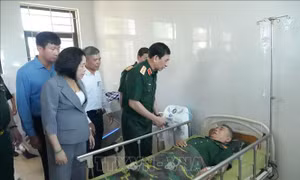 Đại tướng Phan Văn Giang thăm, tặng quà Cơ sở Điều dưỡng thương binh Nho Quan