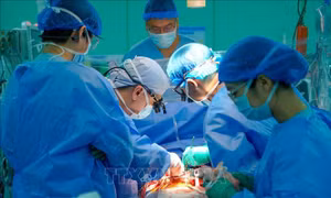TP Hồ Chí Minh: Liên tục thực hiện ghép tim cứu sống người bệnh suy tim nặng