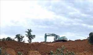 Lợi dụng hợp nhất, đất đồi ở Ba Vì đang bị san lấp, cày xới