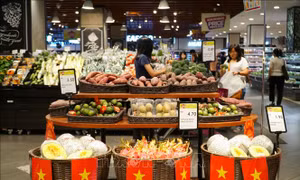 Huy động người Việt Nam ở nước ngoài giới thiệu, tiêu thụ sản phẩm, phát triển kênh phân phối hàng Việt Nam