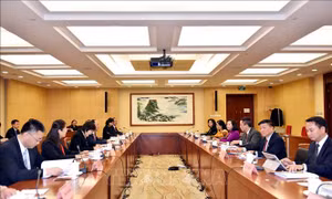 Thúc đẩy hợp tác hiệu quả và thiết thực giữa các cơ quan của Quốc hội Việt Nam và Nhân Đại toàn quốc Trung Quốc