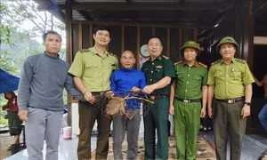 Tiếp nhận từ người dân một con khỉ đuôi lợn thuộc nhóm nguy cấp, quý hiếm