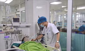  Hôn mê, suy đa tạng do làm việc dưới trời nắng gắt