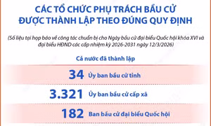 Thành lập các tổ chức phụ trách bầu cử theo đúng quy định