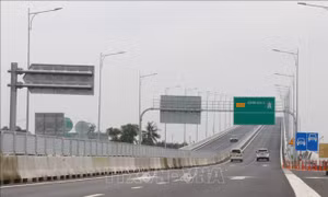 Nhiều phương án hoàn thiện cầu Nhơn Trạch trên Vành đai 3 TP Hồ Chí Minh