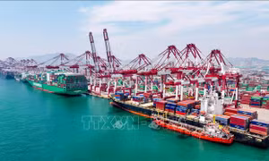 Mỹ giảm phí cảng cho tàu Trung Quốc sau phản ứng của ngành hàng hải