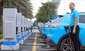 Doanh số ô tô Việt Nam tăng gấp đôi, xe điện và hybrid bứt phá