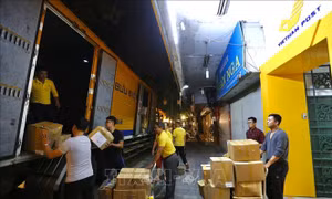 Chủ động các giải pháp bảo đảm an toàn dữ liệu người sử dụng dịch vụ bưu chính