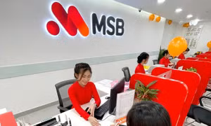 MSB tài trợ tới 95% nhu cầu vốn cho vay phát triển nông nghiệp