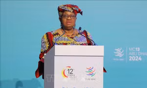 Tổng Giám đốc WTO: Thương mại tự do toàn cầu đang lâm vào khủng hoảng