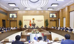 Cơ chế, chính sách đặc thù phát triển TP Hồ Chí Minh và Đà Nẵng cần có trọng tâm, trọng điểm