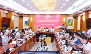 Đưa vụ án xảy ra tại Công ty ZHolding vào diện Ban Chỉ đạo Trung ương theo dõi