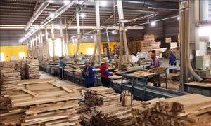 Hoa Kỳ hoãn tăng thuế gỗ theo Mục 232: Không gắn với phán quyết về thuế đối ứng