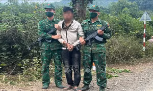 Truy bắt thành công đối tượng vận chuyển ma tuý trái phép