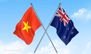 Việt Nam - New Zealand thúc đẩy kim ngạch song phương sớm đạt 3 tỷ USD