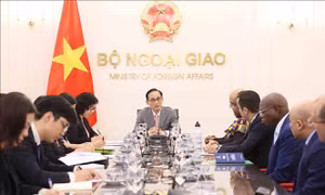 Đưa quan hệ hợp tác Việt Nam - châu Phi lên tầm cao mới