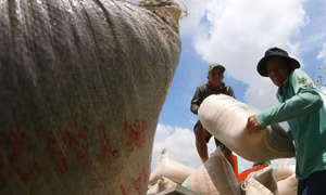 Việt Nam thúc đẩy hợp tác, tháo gỡ vướng mắc thương mại gạo với Philippines