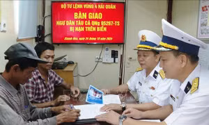 Tàu Hải quân đưa ngư dân bệnh nặng về đất liền điều trị 