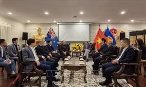 Nâng cao hiệu quả công tác cộng đồng người Việt Nam tại Australia