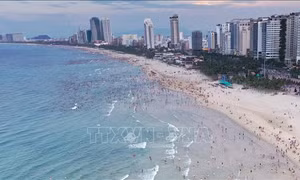 Du lịch Đà Nẵng với những gam màu sáng