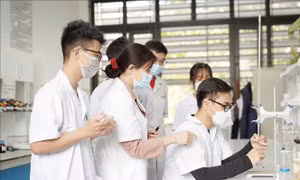 Kiện toàn thành viên Ban Chỉ đạo quốc gia về phát triển ngành Dược Việt Nam