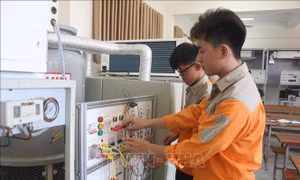 Đào tạo nhân lực chất lượng cao trong kỷ nguyên mới