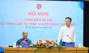 Góp ý hoàn thiện dự thảo Luật Tư pháp người chưa thành niên