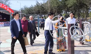 Phòng chống xói lở bờ biển Cửa Đại thông qua hành lang xanh
